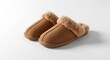 © NeuralNiche - Pair of soft brown slippers isolated on white background
