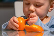 © zwiebackesser - Realistic family lifestyle image of toddler eating fruit.