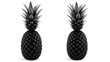 © AUNCON - Two black pineapples side by side