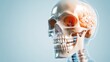 © Larisa AI - A highly detailed rendering of a human skull showcasing its intricate structures, including the brain. This close-up highlights anatomical features important for education.