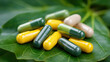 © Taras Roshchuk - Diet pills arranged on green leaves with a focus on health and nutrition, demonstrating the variety of options available for weight management and wellness