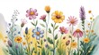 © Urme - spring flowers on a white background