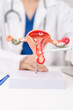 © Jo Panuwat D - Doctor with Uterus and Ovaries anatomy model. Ovarian and Cervical cancer, Cervix disorder, Endometriosis, Hysterectomy, Uterine fibroids, Reproductive system, Pregnancy and health concept