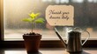 © Alya - Nurturing Plant with Sunlight and Watering Can