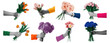 © Macrostock - Diverse hands holding vibrant flower bouquets, joyful and celebratory, brightly lit on white as an isolated graphic element for gifting and special occasions.