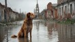 © 69 - Dog Stands in Flooded Street Amidst Ruins, Captured in a Serene Yet Haunting Atmosphere