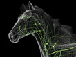 © Sebastian Kaulitzki - A Detailed 3D Depiction Of The Lymphatic System Of A Horse
