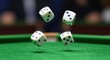 © BlackBird Studio - Dice Rolling on Green Table Surface during Game Play