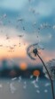 © ART BY SAIFUL - Vibrant photo of Dandelion seed blowing in the wind at sunset over lake