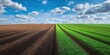 © Studio Nova - The Field Showing Contrasting Plowed Soil and Vibrant Green Crop Rows Under Sky