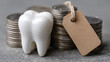 © SashaMagic - Tooth Model with Coin Stacks and Price Tag on Gray Surface