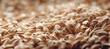 © spyrakot - Close-up Macro of Uniformly Dried Barley Grains Forming a Textured Surface