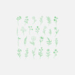 © MDMUKTADIR - green floral background Collection of Hand-Drawn Floral Botanical Doodles in Green. Green Floral Graphic bundle collection Elements for Bullet Journaling and Notebook Design.