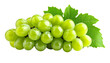 © premyuda - Fresh bunch of dark purple grapes with green leaf isolated on white background