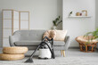 © Pixel-Shot - Modern vacuum cleaner with poufs on carpet near sofa in living room interior