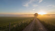 © siraphol - Sunrise dirt road through misty countryside with lone tree and golden light