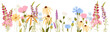 © Iryna Danyliuk - Wild Meadow Flowers Border and Garden Blooms with Bees and Dragonfly in Soft Pastel Botanical Style.