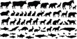 © LITON WORLD - Large animal silhouette collection set, black and white vector illustration featuring wildlife, farm animals, pets, birds, fish and marine mammals