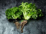bunch of fresh green lettuce
