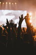 © 9parusnikov - Silhouetted crowd raising hands and rock signs at concert