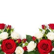 © Freelancerfozlu - Elegant bouquet of red and white roses arranged in a graceful arc shape.