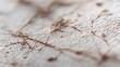 © Diego - Handmade paper texture showing intertwined fibers creating a unique pattern