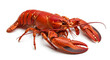 © SVITLANA - Cooked red lobster with large claws and intricate details, presented on a clean white background. Ideal for food blogs, seafood restaurants, or culinary presentations.