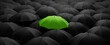 © Din Nasahrudin - Green umbrella stand out from the crowd of many black umbrellas - being different concept