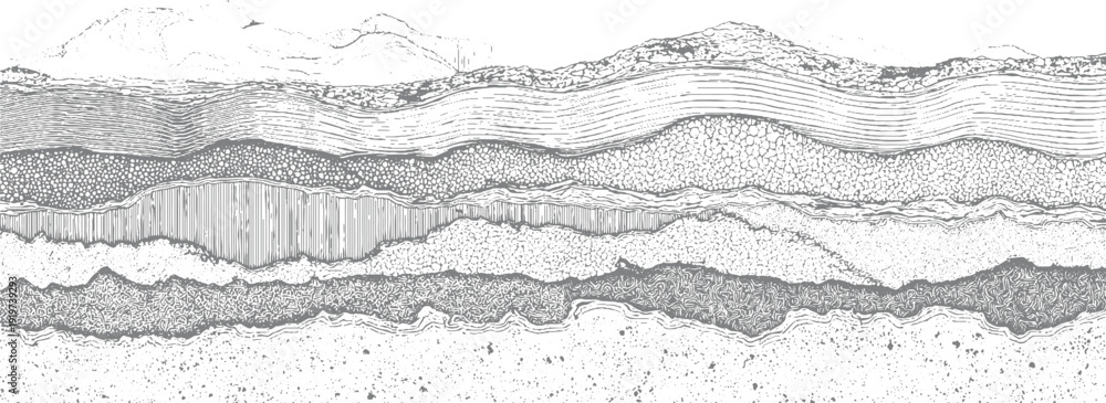 Detailed cross section of geological strata showing layers of rock and ...