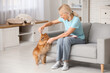 © Pixel-Shot - Mature woman feeding cute Pomeranian dog on sofa at home