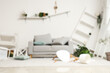 © Pixel-Shot - Blurred view of messy living room with sofa, shelves and plants