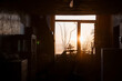 © Galka3250 - Silhouetted Interior with Sunset View Through Large Window Framed by Twisted Branches and Potted Plants