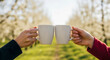 © Ольга Клецкова - Two hands clinking white mugs in blooming spring orchard outdoor coffee toast friendship