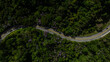 © AmazingAerialAgency - Aerial view of a winding road cutting through a dense forest, contrasting the dark green canopy with the bright yellow lines, Curitiba, Brazil.