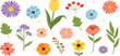 © Jahangir - Hand Drawn Spring Flowers Vector Collection with Colorful Floral Elements Botanical Leaves Cute Minimal Flat Illustration Design