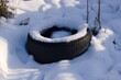 © papim - TIRE IN THE SNOW - 1