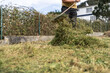 © Alvaro Lavin/Stocksy - Man cleaning garden with rake.