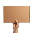 © Mst - A hand holding a cardboard box on transparent background