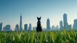 © mr.ace - Black dog facing skyline in tall grass with sunny day
