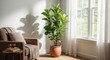 © muhammad - Serene living room corner with a large potted fiddle leaf fig plant by a sunny window.