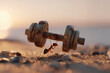 © ALL YOU NEED studio - tiny dark ant effortlessly lifting a giant rusted iron dumbbell against a warm golden orange sunset beach background, symbolizing surprising inner strength and business resilience.