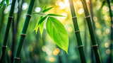 Minimalist Green Bamboo Stalk with Fresh Leaves, Zen Background for Wellness and Spa Branding