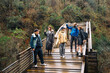© Maria Sher/Stocksy - Group standing on a wooden bridge in a forest