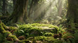 © terdevil23 - Mossy rock podium on forest floor with sunlight rays.