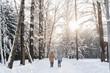© velirina - Walking mother with teen son on snowy forest path, tall trees, bright sun, quiet winter landscape, family time, bonding, childhood memory, outdoor lifestyle, weekend leisure, seasonal holiday mood.