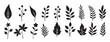 © Gibdd - black and white silhouette leaf and branch set