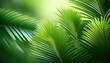 © Johnny - beautiful palm leaves background selective focus