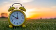 © Tania Begum - Vintage alarm clock in a grassy field at sunset with a beautiful sky