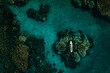 © C6 Studio/Stocksy - Surfer girl laying on surfboard in tropical reef