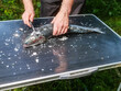 © mark_gusev - Man de scale fresh salmon on folding camping table, green grass background. Fish cooking on a trip to nature. Fishmonger at work. Cleaning fish properly for better quality.